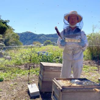 国産純粋はちみつ 50g×5種類 詰め合わせセット +150g瓶(百花)1個