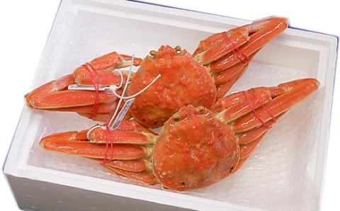 松葉ガニの本場よりプロ茹で松葉ガニ(冷凍)約500g×2枚【配送不可地域：離島】