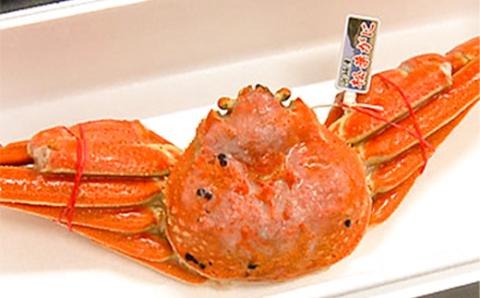 松葉ガニの本場より プロ茹で松葉ガニ(冷凍)　1枚　約800g【配送不可地域：離島】