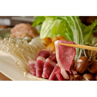 兵庫県産「但馬鴨」鴨鍋セット(小)3～4人前【配送不可地域：離島】