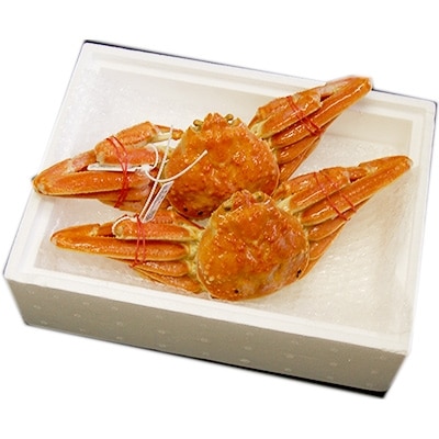 松葉ガニの本場より プロ茹で松葉ガニ(冷凍)　約700g×2枚【配送不可地域：離島】