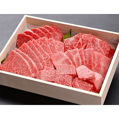 但馬牛焼肉セット【500g】【配送不可地域：離島】