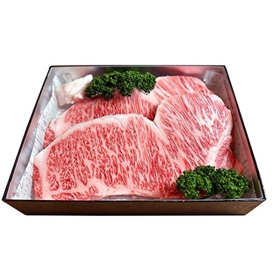 但馬牛サーロインステーキ2枚入り【250g×2】【配送不可地域：離島】