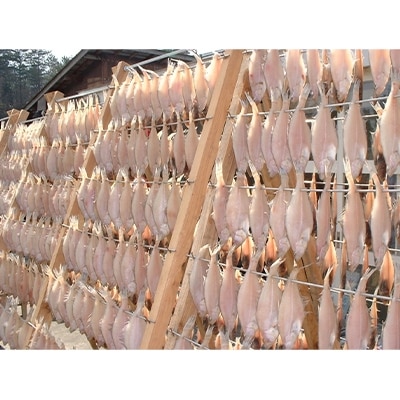 山陰名産エテカレイ一夜干し　6枚　兵庫県新温泉町　【配送不可地域：離島】