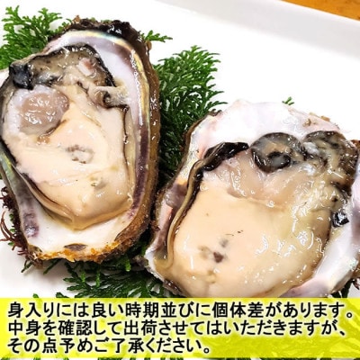 山陰の天然岩ガキ詰合せ(大きさにより5～7個入)　牡蠣は殺菌済　下処理済　生食OK　バーベキュー【配送不可地域：離島・北海道・沖縄県・東北】