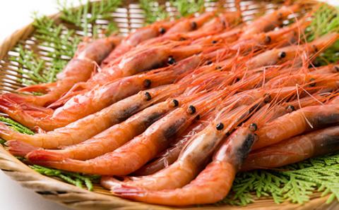 一年でよりおいしい時期のお刺身用甘エビ(船内冷凍)Lサイズ　500g以上　【配送不可地域：離島】
