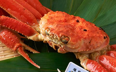 訳あり　釜ゆで松葉ガニ　冷凍　姿　船名タグ付き　400g以上【配送不可地域：離島】