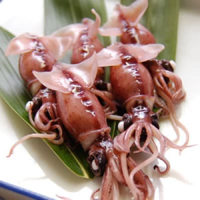 【期間限定】山陰の旬もの　釜揚げほたるいか(冷蔵)500g+素干しホタルイカ付き【配送不可地域：離島・北海道・沖縄県・東北】