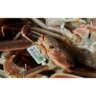 蟹の宿『芦屋荘』(松葉蟹の水揚げ港・浜坂で本場の蟹料理)平日宿泊限定・2名宿泊券(1泊2食)