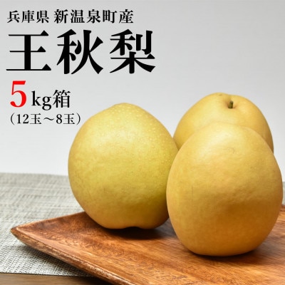 王秋梨 5kg箱(12～8玉)/兵庫県 新温泉町産