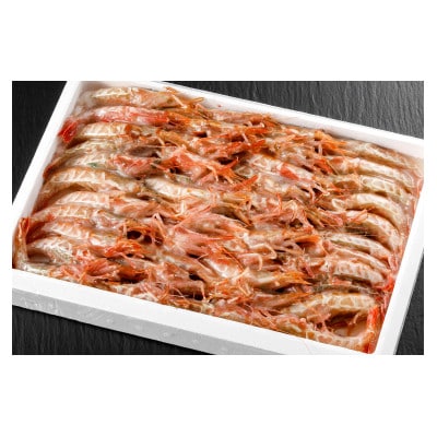 冷凍ガラエビ500g【配送不可地域：離島】