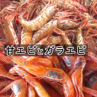 【数量限定】山陰のわけあり地エビ2種　計1キロ以上(甘エビ、ガラエビ/ドロエビ各500g以上×2種)【配送不可地域：離島】