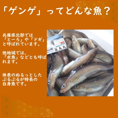 ゲンゲ(ドギ/トーロ/水魚)お吸い物　5パック(5人前)但馬ふるさとの味【配送不可地域：離島】