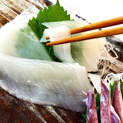 【便利な個包装】高級朝とれ白いか　2杯セット(2杯×300～400g)700g前後　高鮮度3D凍結【配送不可地域：離島】