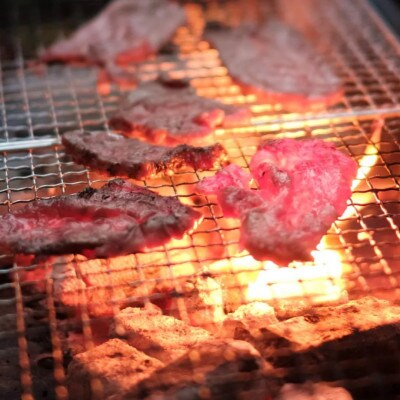 訳あり 神戸牛 焼肉(切り落とし)　500g×2　計1000g　SOY2S【配送不可地域：離島】