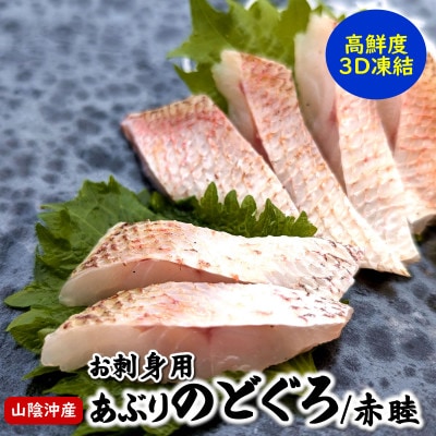 高級魚「天然クエ熟成」「炙りノドグロ」お刺身用 旨味凝縮 高鮮度3D凍結 個包装【配送不可地域：離島】