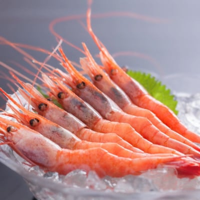 お刺身用甘えび500g(Mサイズ44匹前後)【配送不可地域：離島】