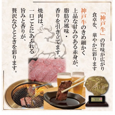 神戸牛(神戸ビーフ)焼肉セット 計1Kg SOYS5 【2026年4月より順次発送】【配送不可地域：離島】