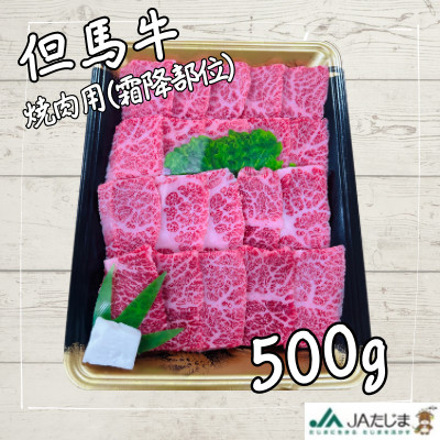 但馬牛　焼き肉用(霜降り部位　500g)【配送不可地域：離島】