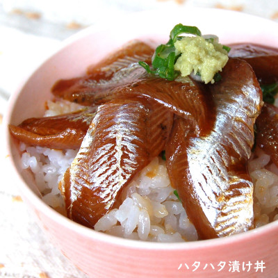 【兵庫県新温泉町】魚屋自家製「山陰の海鮮漬け丼10食」セット　天然魚使用　添加物未使用　海鮮丼【配送不可地域：離島】