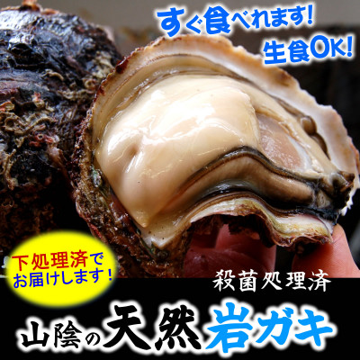山陰の岩ガキ・サザエ詰合(大きさにより各6～10個)牡蠣は殺菌済　下処理済　生食OK　さざえ砂抜き済【配送不可地域：離島・北海道・沖縄県・東北・関東・九州】