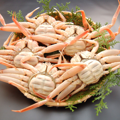 松葉ガニの本場　訳あり釜茹でセコガニ姿(冷凍)中サイズ5杯　高鮮度3D凍結　せいこがに　親ガニ　メス【配送不可地域：離島】