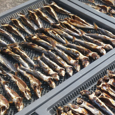 魚屋が作る焼あご100%粉末 無添加あごだし魚粉(100g×2)食塩不使用 トビウオふりだし出汁とり