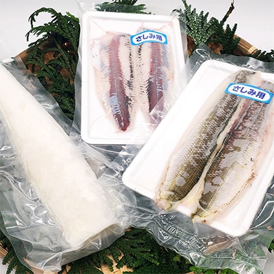 2023年4月発送開始『定期便』山陰の地魚お刺身セット　全3回【配送不可地域：離島】