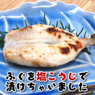 鮮度・美味しさ抜群　真ふぐむき身と白子のセット【配送不可地域：離島】