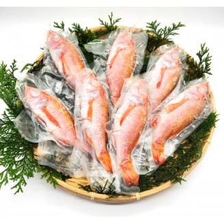 山陰のノドグロ　7尾入　煮付け、塩焼きに!【配送不可地域：離島】