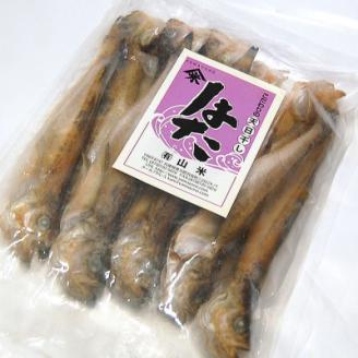 山陰の大型ハタハタ一夜干し　10匹入り【配送不可地域：離島】