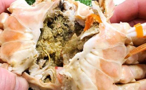 松葉ガニの本場よりプロ茹で松葉ガニ(足1本落ち)約700g×2枚(冷凍)【配送不可地域：離島】