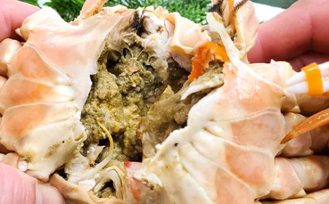 松葉ガニの本場より プロ茹で松葉ガニ(冷凍)　約600g×2枚【配送不可地域：離島】