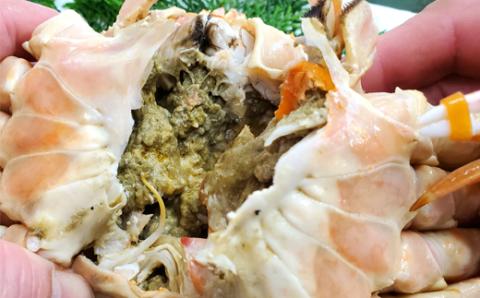 松葉ガニの本場よりプロ茹で松葉ガニ(冷凍)　1枚　約1kg【配送不可地域：離島】