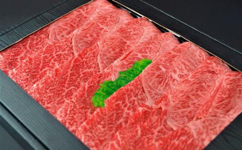 【但馬牛専門店】がお届けする!但馬牛　食べ比べセット(すき焼き・しゃぶしゃぶ)1kg【配送不可地域：離島】