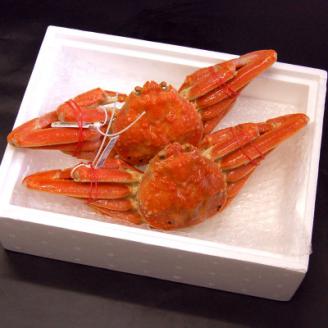 松葉ガニの本場より プロ茹で松葉ガニ(冷凍)　約400g×2枚【配送不可地域：離島】