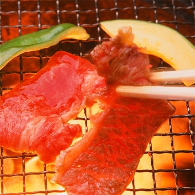 但馬牛霜降り焼肉用【500g】【配送不可地域：離島】