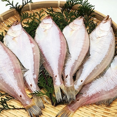 山陰名産エテカレイ一夜干し　6枚　兵庫県新温泉町　【配送不可地域：離島】