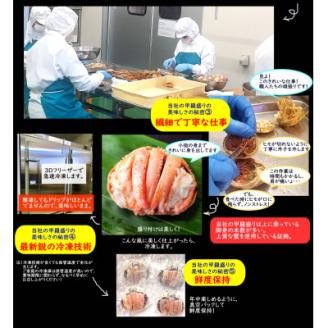 職人こだわりのせこがに甲羅盛り　中サイズ　化粧箱6個入　個包装　高鮮度3D凍結【配送不可地域：離島】