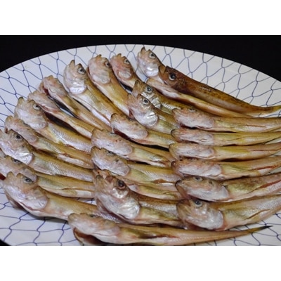 美味い、脂の乗った浜坂産一夜干しハタハタ1.0kg【配送不可地域：離島】