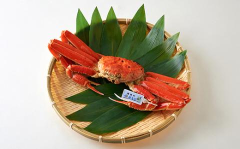 訳あり　釜ゆで松葉ガニ　冷凍　姿　船名タグ付き　400g以上【配送不可地域：離島】