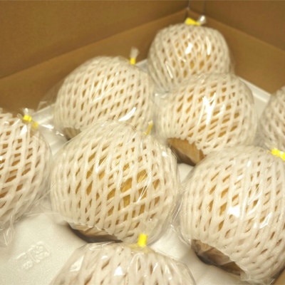 王秋梨 10kg箱(16玉)/兵庫県 新温泉町産