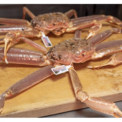 かにの宿『網元』(松葉蟹の浜坂港で本場の蟹料理)平日宿泊限定(休前日除く)・2名宿泊券(1泊2食)