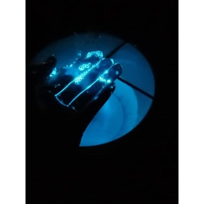 ウミホタル観察会体験ペアチケット(2名様分)