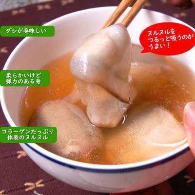 ゲンゲ(ドギ/トーロ/水魚)お吸い物　5パック(5人前)但馬ふるさとの味【配送不可地域：離島】