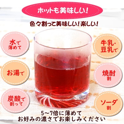 濃い赤しそシロップ「赤しその恵み」2本×1kg(5～7倍濃縮)国産赤紫蘇ジュース  かさばらない容器