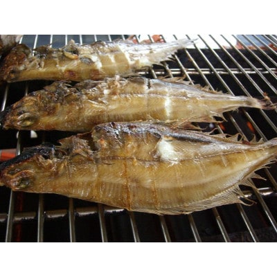 美味い、脂の乗った浜坂産一夜干しかれい　約1.0kg　5～8枚入【配送不可地域：離島】