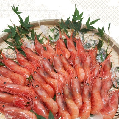 お刺身用甘えび500g(Mサイズ44匹前後)【配送不可地域：離島】