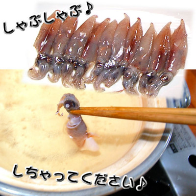 旬凍結ホタルイカ　小分け約250g×5パック【3D凍結】兵庫県浜坂産　生食可　お刺身　しゃぶしゃぶに【配送不可地域：離島】