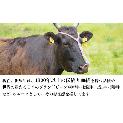 但馬牛　バラすき焼き用　500g【配送不可地域：離島】